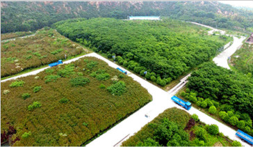 杭州常林-綠色礦山建設(shè)，為何鐘情山推挖掘機(jī)—湖州美卓礦業(yè)